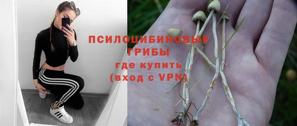ГАЛЛЮЦИНОГЕННЫЕ ГРИБЫ Аркадак
